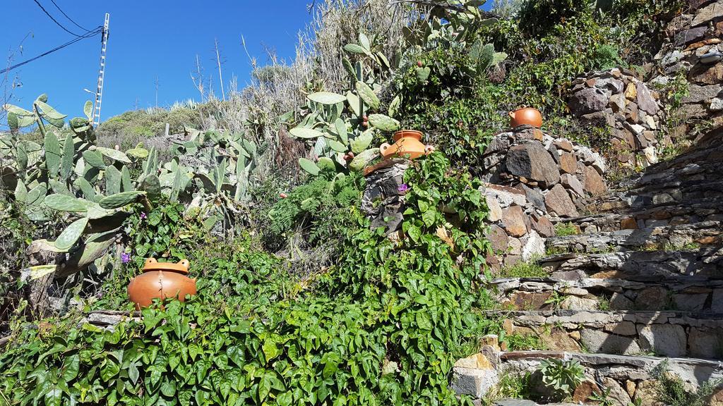Casa Rural - Laendliches Haus, Pepita La De Las Flores Tejeda  Bagian luar foto