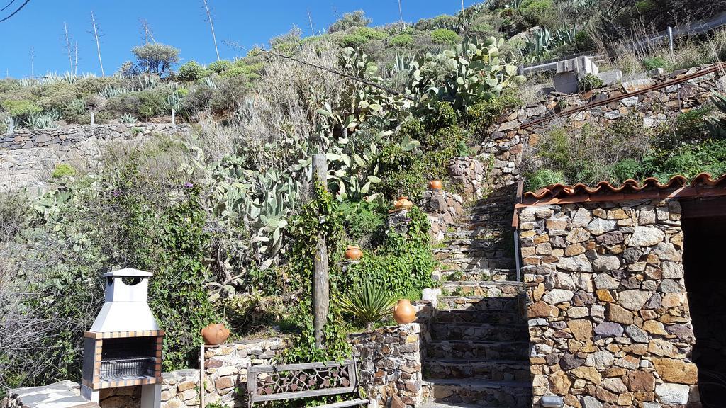 Casa Rural - Laendliches Haus, Pepita La De Las Flores Tejeda  Bagian luar foto