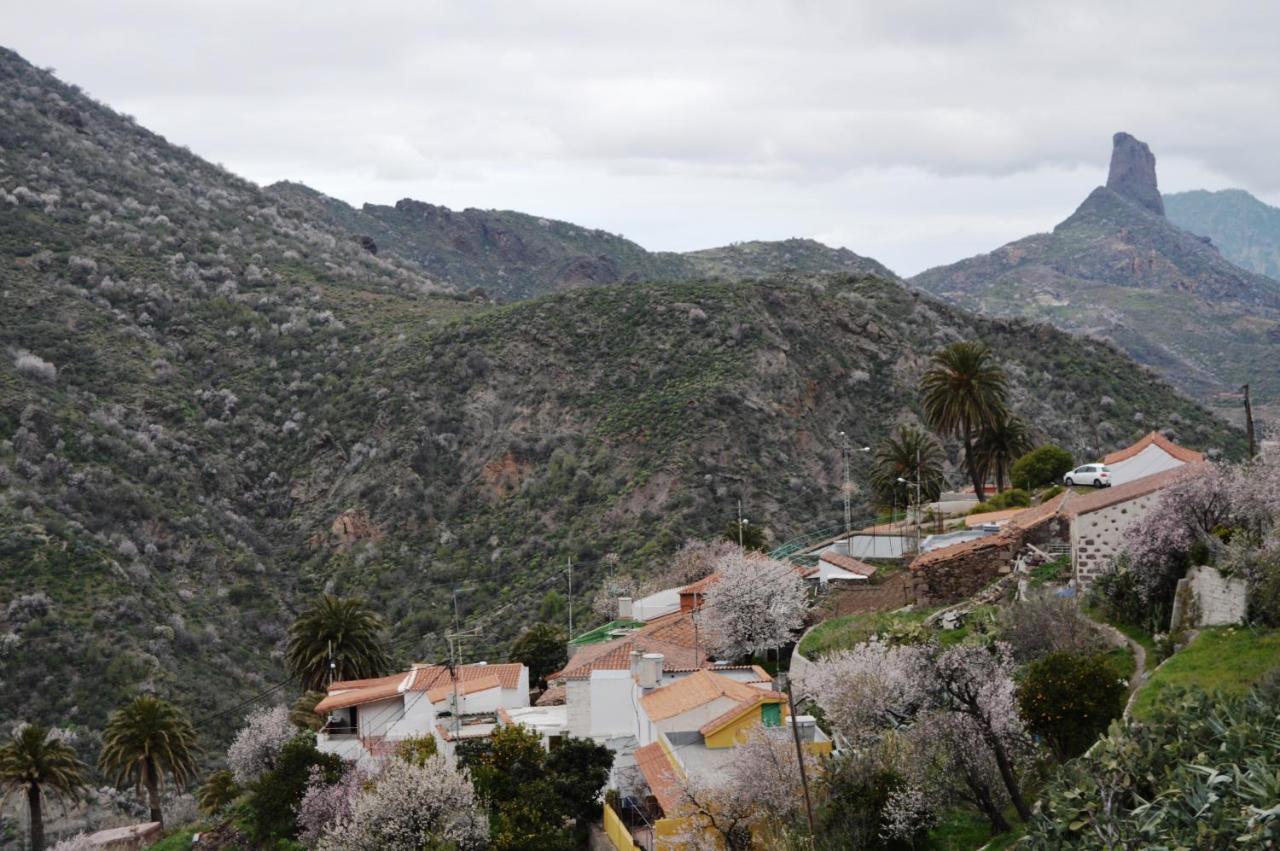 Casa Rural - Laendliches Haus, Pepita La De Las Flores Tejeda  Bagian luar foto
